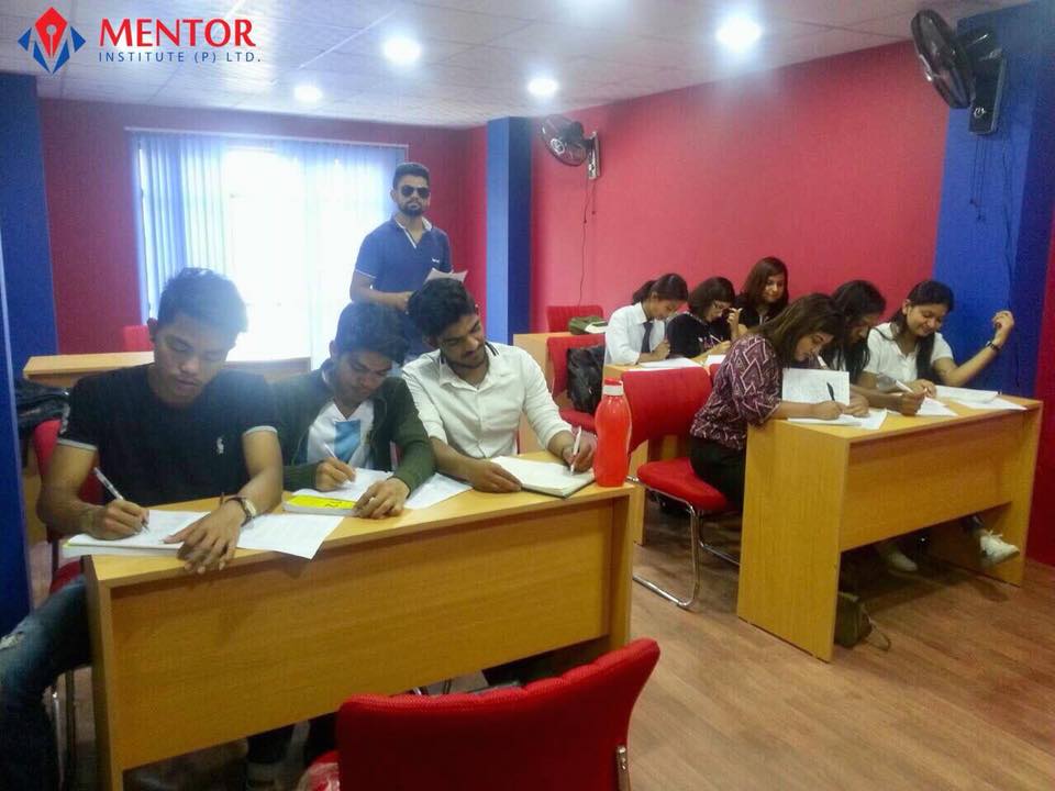 Mentor Institute team & counselors